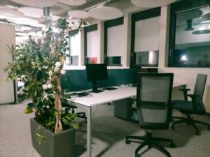 '.esc_attr__('top_icon', 'carpetserv').'